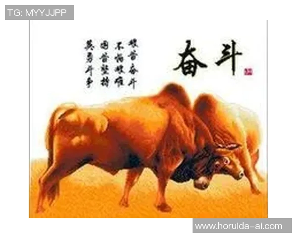 陈强畅谈排球人生：从青涩少年到国家队的奋斗与荣耀